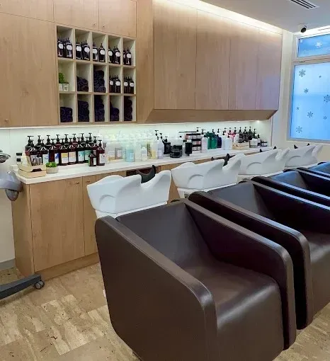 Le salon Wilfrid Karloff  (2)