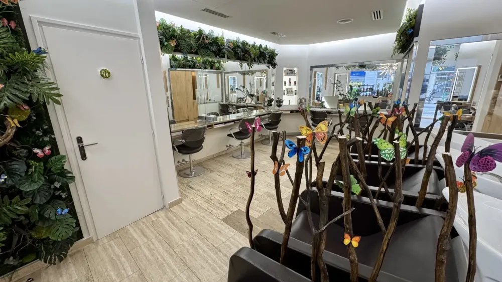 Le salon Wilfrid Karloff  (2)