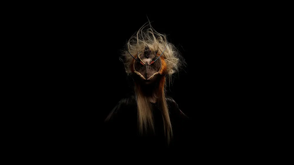 birds (2)